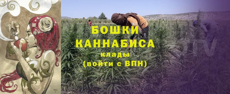 Бошки Шишки Bruce Banner  Печора 